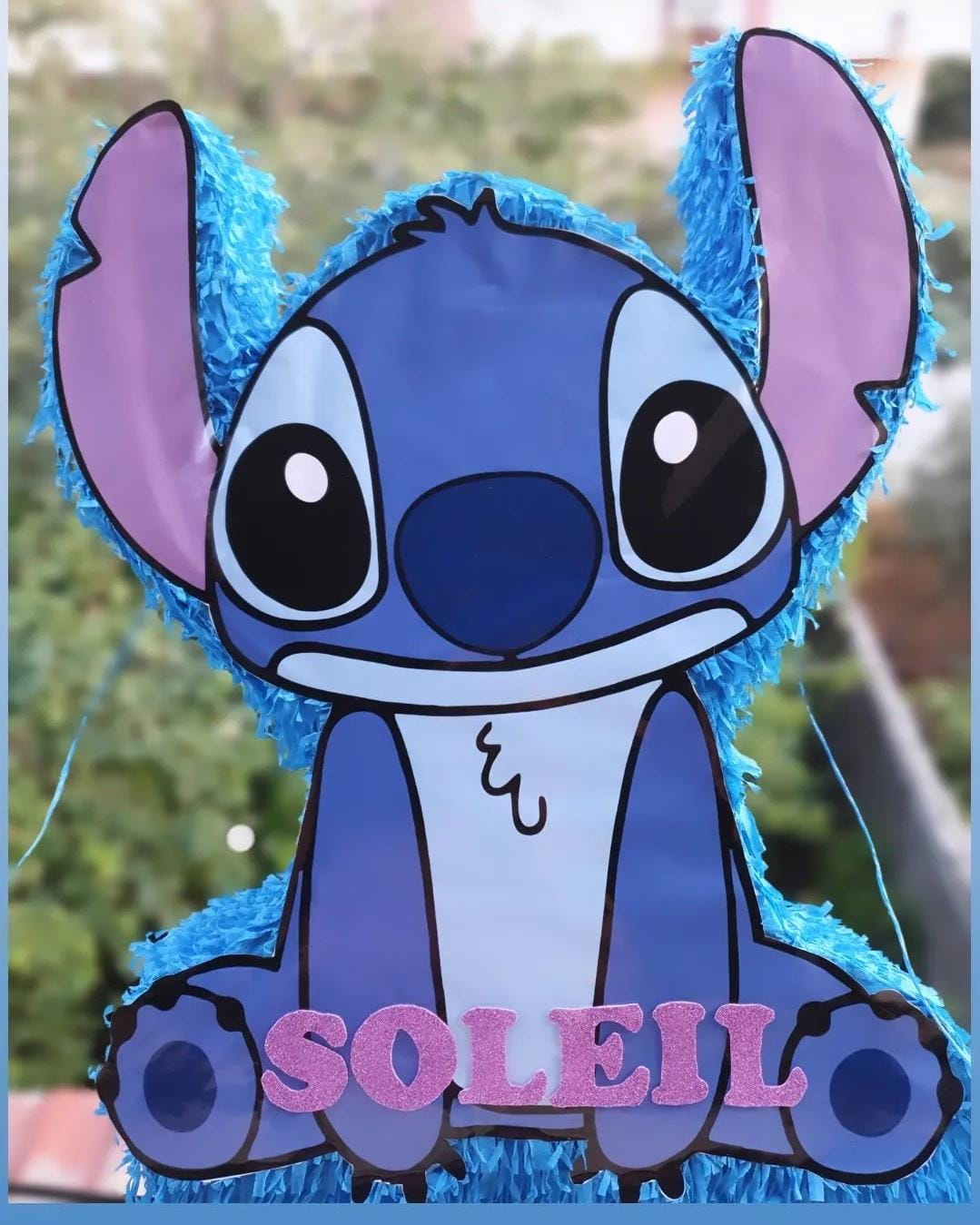 Pignatta Stich